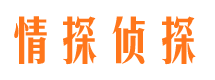 八步侦探公司